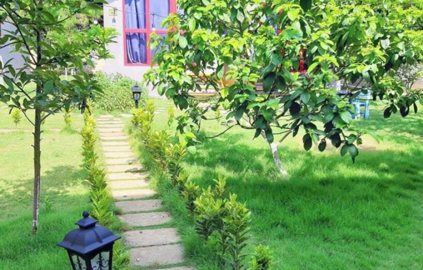 Embossi Garden Homestay – Ba Vì ✔