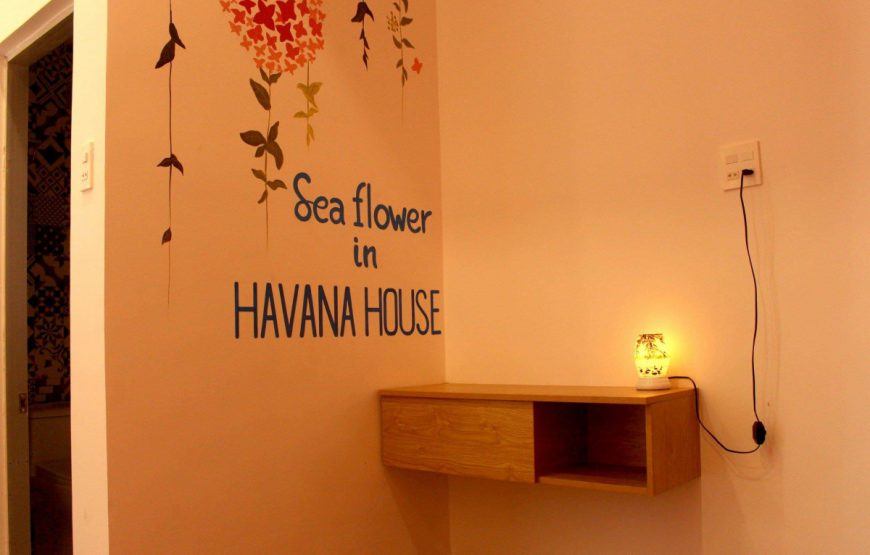 Havana House Quy Nhơn – Phòng 1 giường 1m6 ( Sweet Room)
