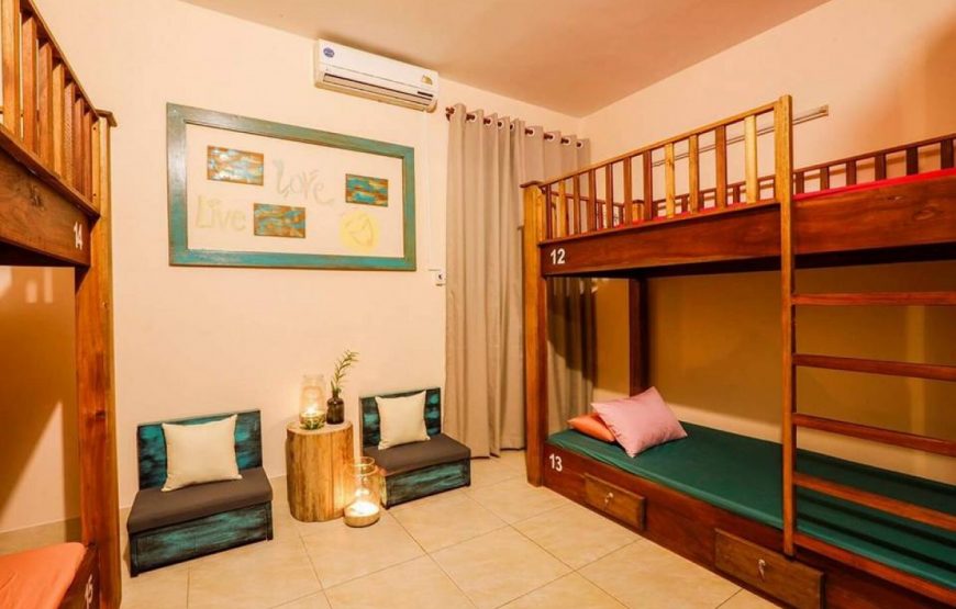 Home Quy Nhon Bed & Room – Dorm