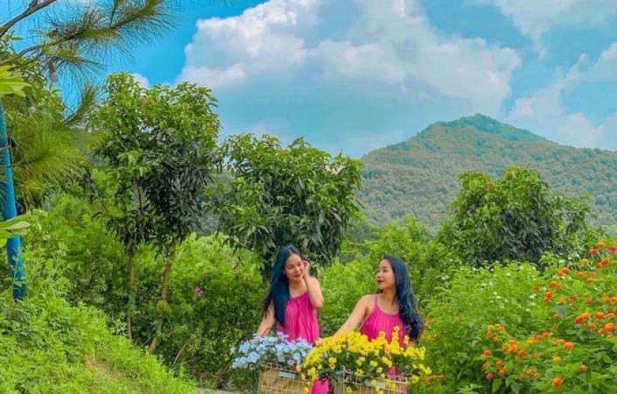 Rose Garden villa – Sóc Sơn