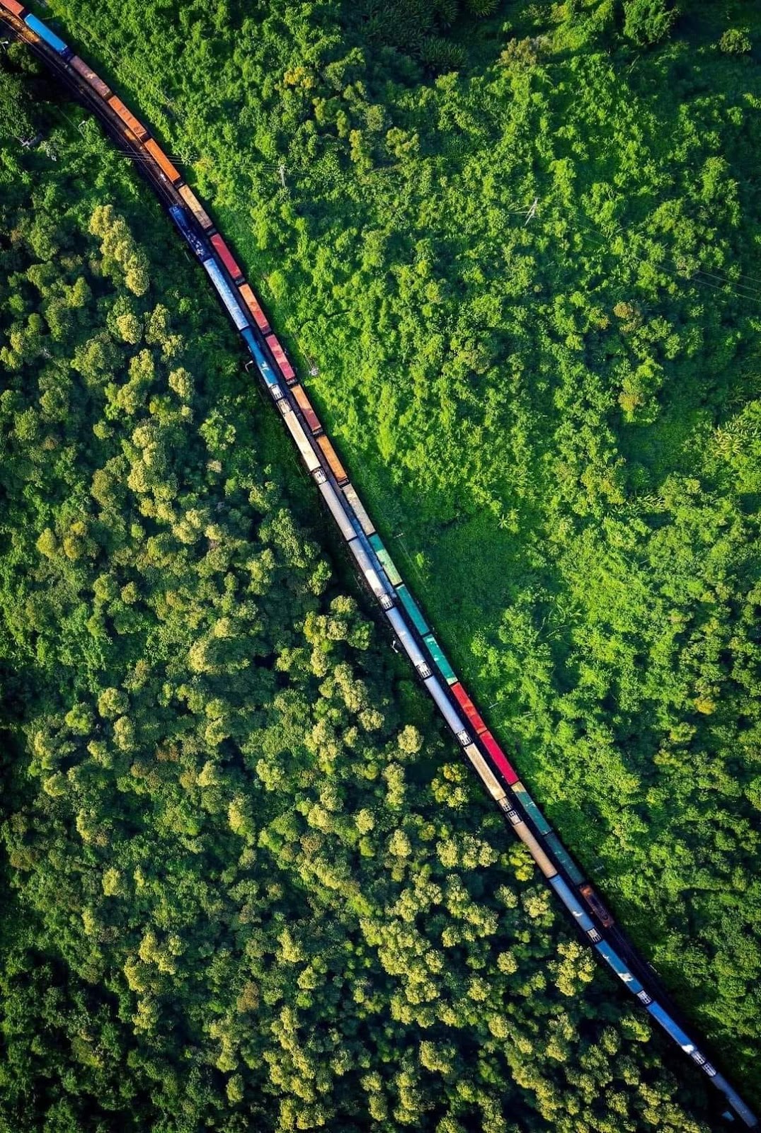 Tàu kết nối Đà nẵng Huế qua những cánh rừng đẹp